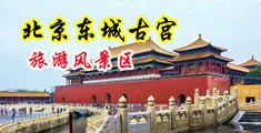 羞羞答答黄页入口中国北京-东城古宫旅游风景区